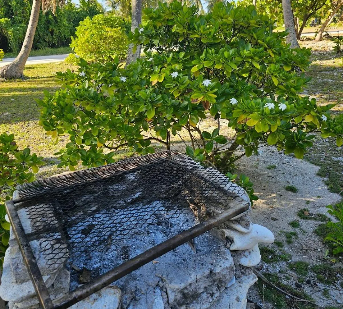 Kinakamo Lodge Rangiroa Tiputa 0*,  Frans-Polynesië
